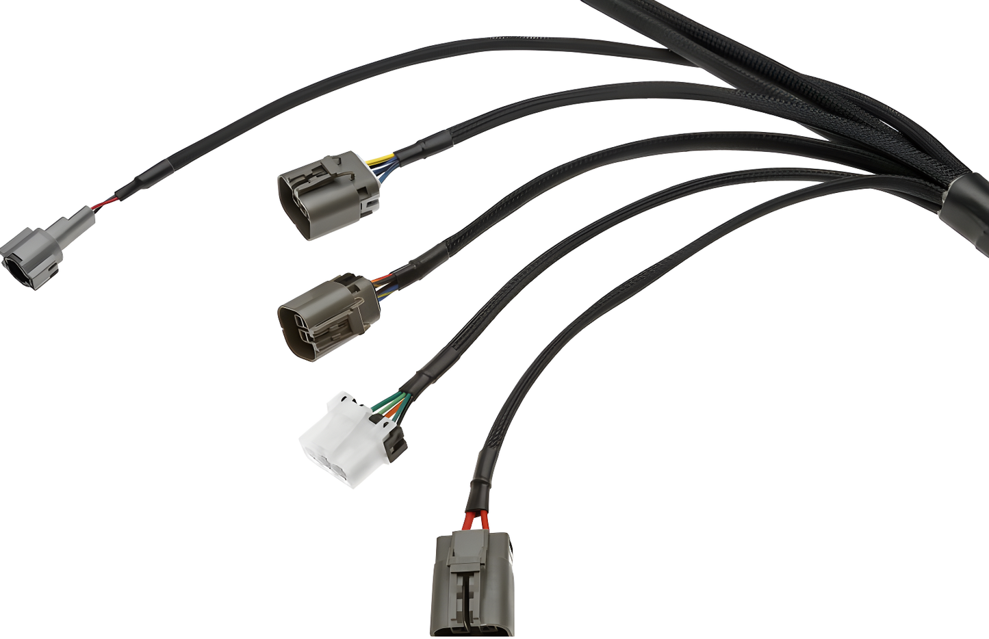 Wiring Specialties Label Specifications - 2JZGTE PRO Series Harness for R32 Skyline GT-S – WRS-PRO2JZ-R32GTS