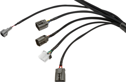 Wiring Specialties Label Specifications - 2JZGTE PRO Series Harness for R32 Skyline GT-S – WRS-PRO2JZ-R32GTS