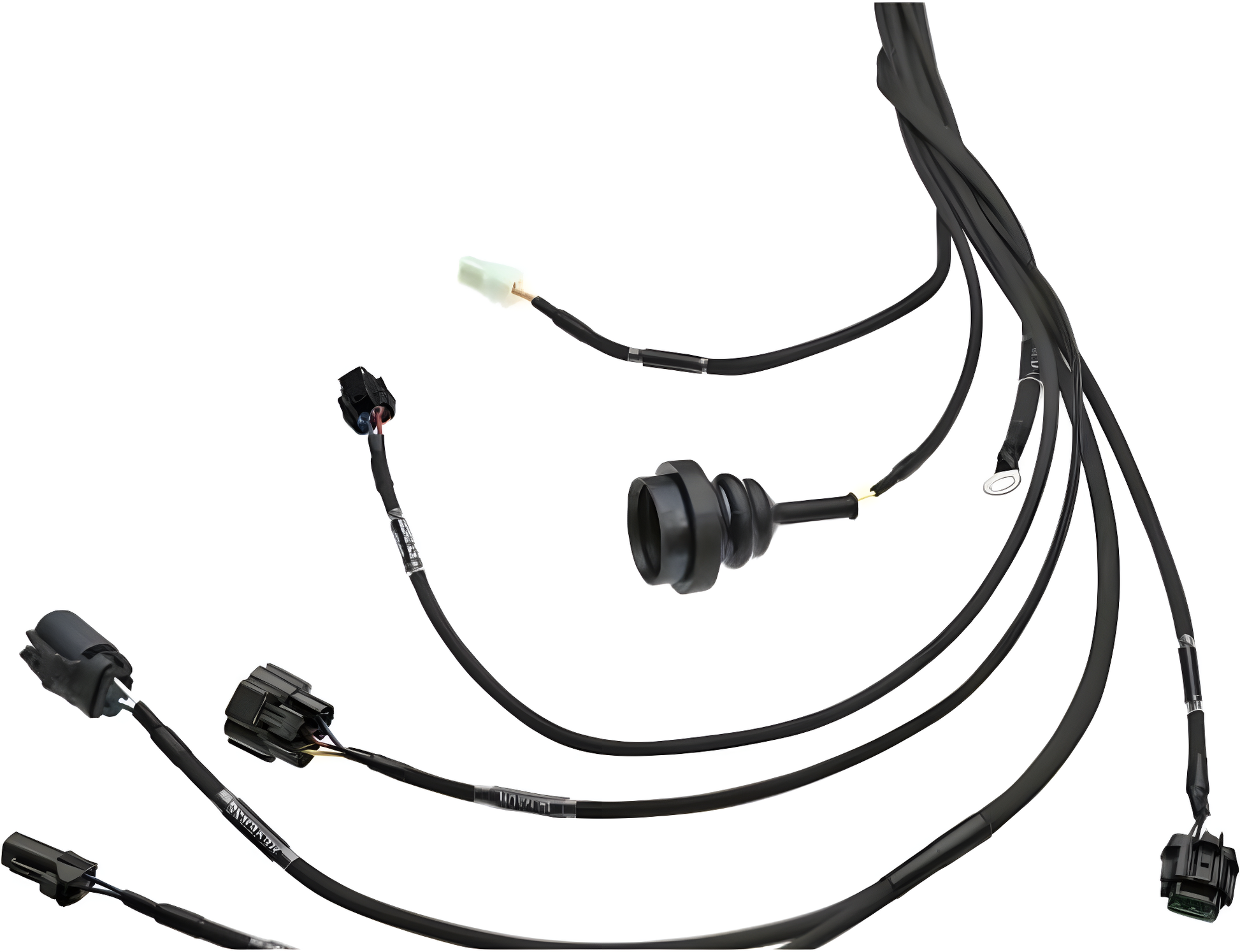 Wiring Specialties Label Specifications - RB25DET NEO PRO Series Harness for Classic Datsuns WRS-PRORB25NEO-DAT
