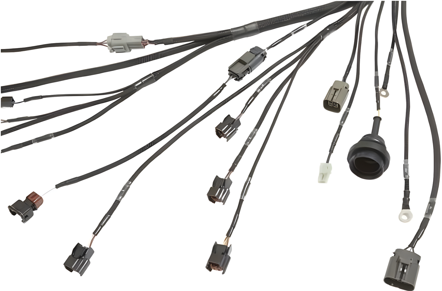 Wiring Specialties Label Specifications - Standalone S13 SR20DET PRO Series Harness WRS-PROS13SR20-UNI