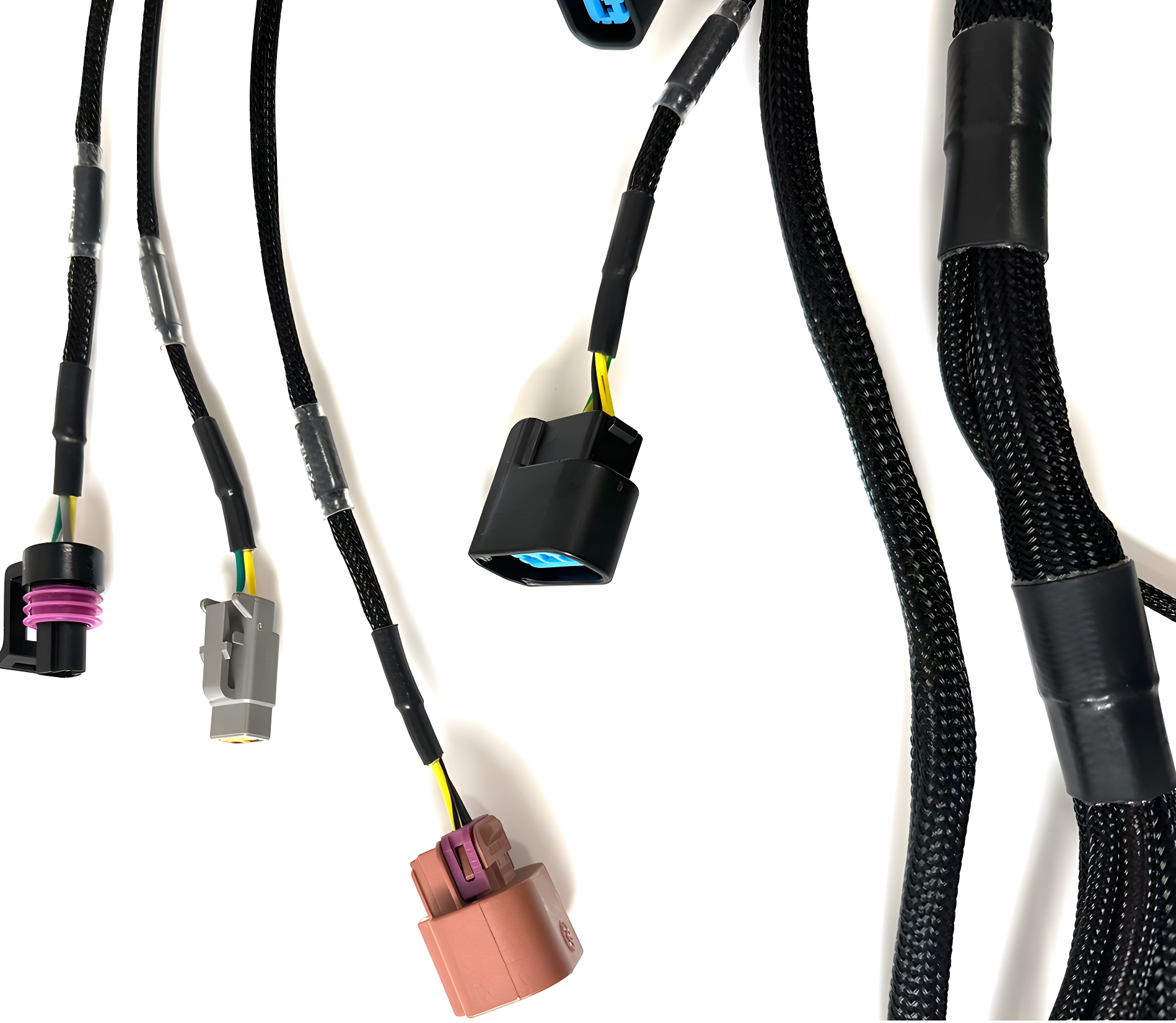 Wiring Specialties Label Specifications - K-Series LINK G4 ECU Wiring Harness for BMW E46 PRO Series WRS-PROK20K24-LINK-E46