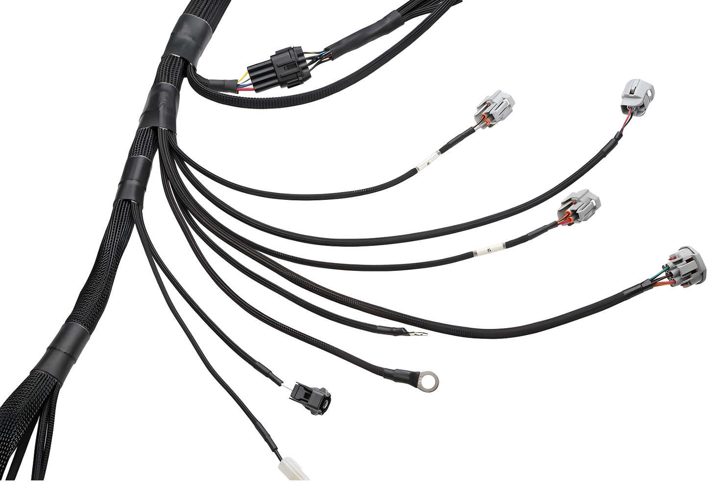 Wiring Specialties Label Specifications - 2JZGTE PRO Series Harness for BMW E39 WRS-PRO2JZ-E39