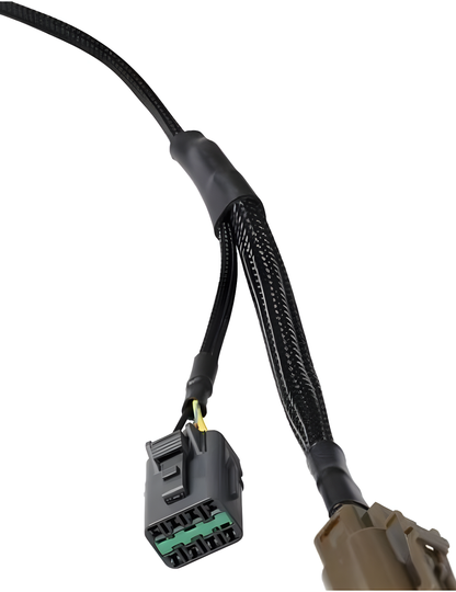 Wiring Specialties Label Specifications - RB25DET Lower Harness 180SX OEM Series WRS-RB25180SXRHD-TRN