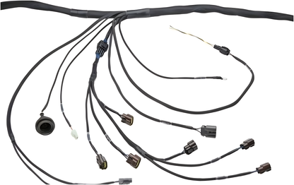 Wiring Specialties Label Specifications - RB20DET Harness for Datsun 310 - PRO SERIES WRS-PRORB20-DAT