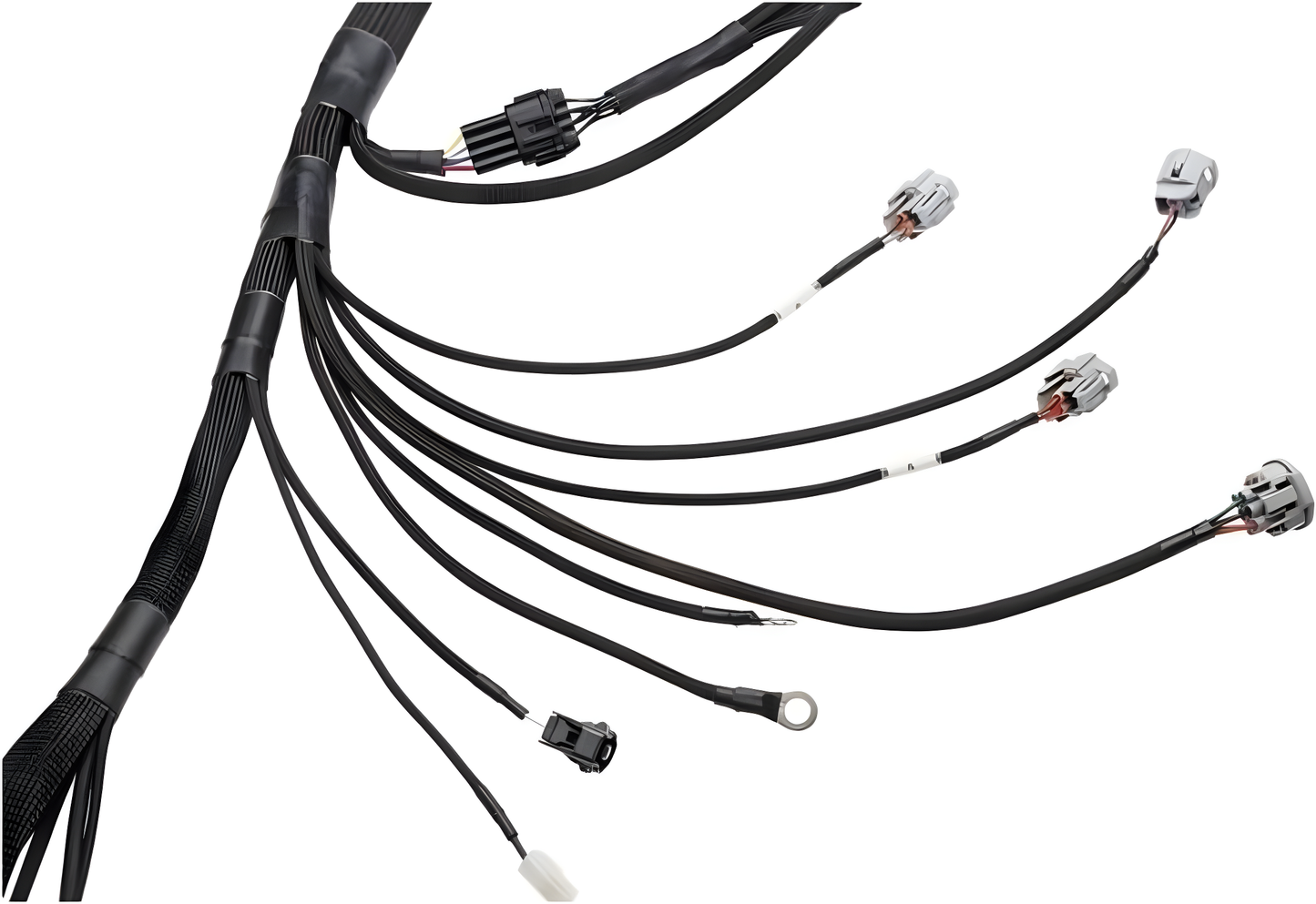Wiring Specialties Label Specifications - 2JZGTE Standalone PRO Series Harness Universal WRS-PRO2JZ-UNI