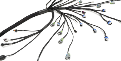 Wiring Specialties Label Specifications - LS3 Gen IV 58x DBW Wiring Harness for Nissan Silvia S15 (RHD JDM) - PRO SERIES WRS-PROLS3-S15