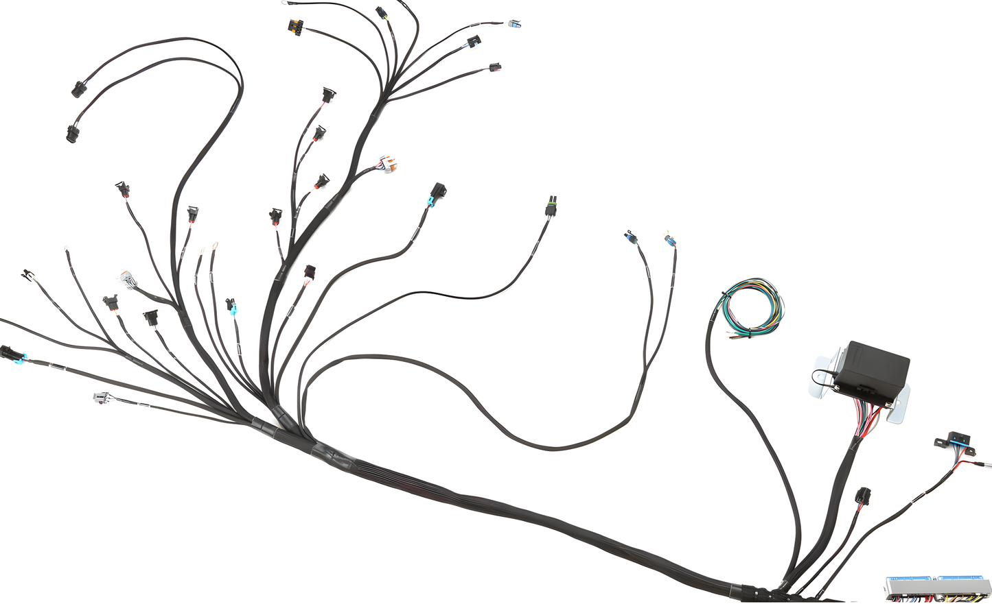 Wiring Specialties Label Specifications - LS1 / Vortec PRO Series Harness for Classic Chevrolet/GM – WRS-PROLS1-CCHEV