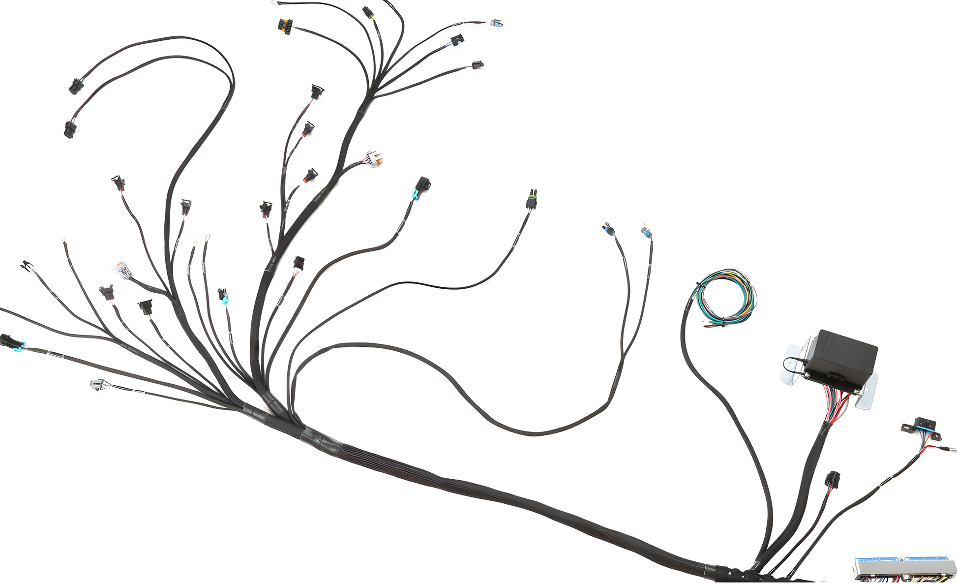 Wiring Specialties Label Specifications - LS1 / Vortec PRO Series Harness for Classic Chevrolet/GM – WRS-PROLS1-CCHEV