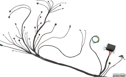 Wiring Specialties Label Specifications - LS1 / Vortec PRO Series Harness for Classic Chevrolet/GM – WRS-PROLS1-CCHEV