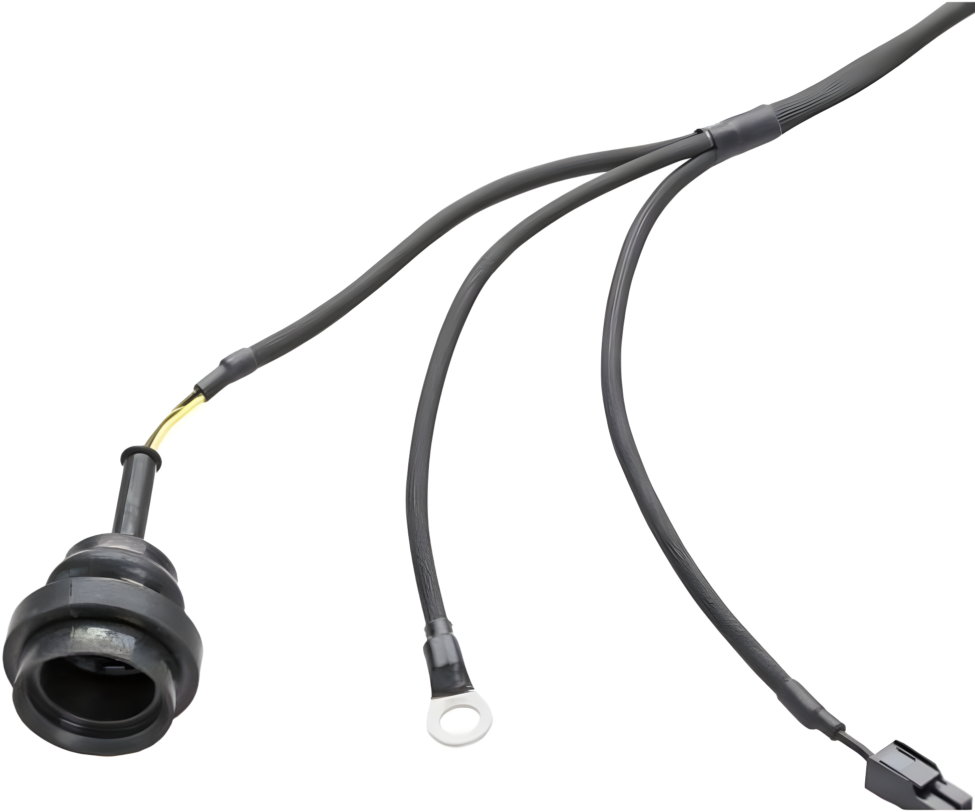Wiring Specialties Mounting Points - RB26DETT to Datsun Wiring Harness - PRO SERIES WRS-PRORB26-DAT