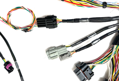 Wiring Specialties Mounting Points - SR20DET PRO Series Harness for Nissan 370Z CANBUS PRO SERIES WRS-PROK20K24-HAL-370Z