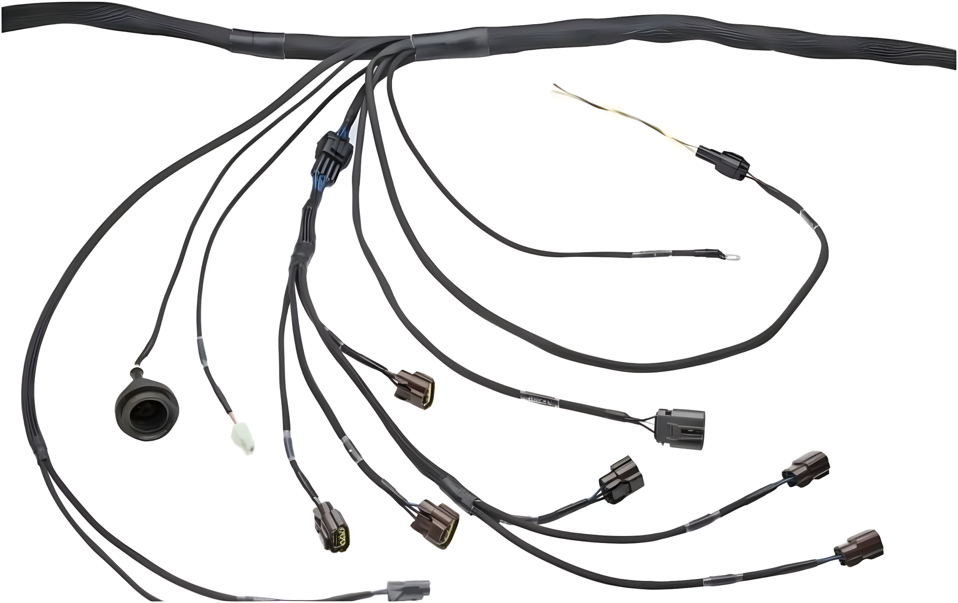 Wiring Specialties Mounting Points - RB20DET Harness for S13 200sx (LHD EURO) - PRO SERIES WRS-PRORB20-200SX