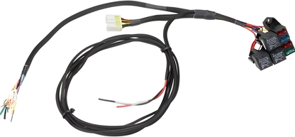 Wiring Specialties Mounting Points - RB25DET PRO Series Harness for Classic Datsun WRS-PRORB25-DAT