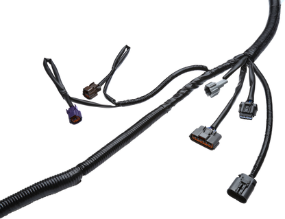 Wiring Specialties Mounting Points - RB25DET Harness S14 240SX OEM Series COMBO WRS-RB25S14-COMBO