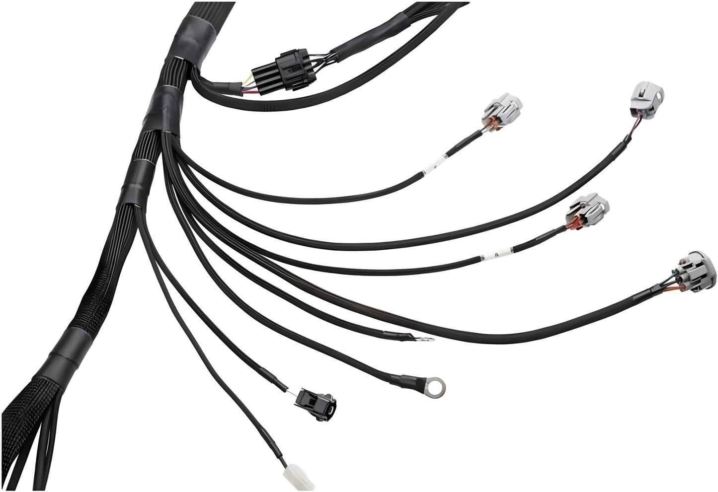Wiring Specialties Mounting Points - 2JZGTE PRO Series Harness for BMW E36 WRS-PRO2JZ-E36