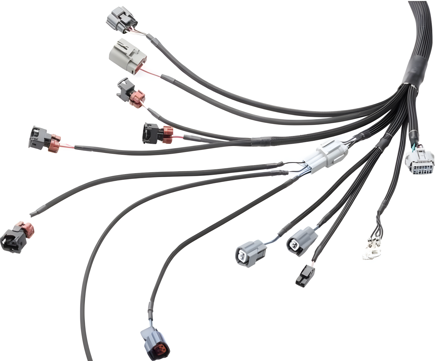 Wiring Specialties Mounting Points - RB26DETT PRO Series Harness for S13 RHD Silvia / 180sx – WRS-PRORB26-S13RHD