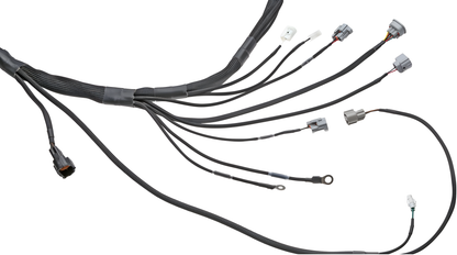 Wiring Specialties Mounting Points - 1JZGTE PRO Series Harness for USDM LHD V35 Infiniti G35 – Part WRS-PRO1JZ-G35