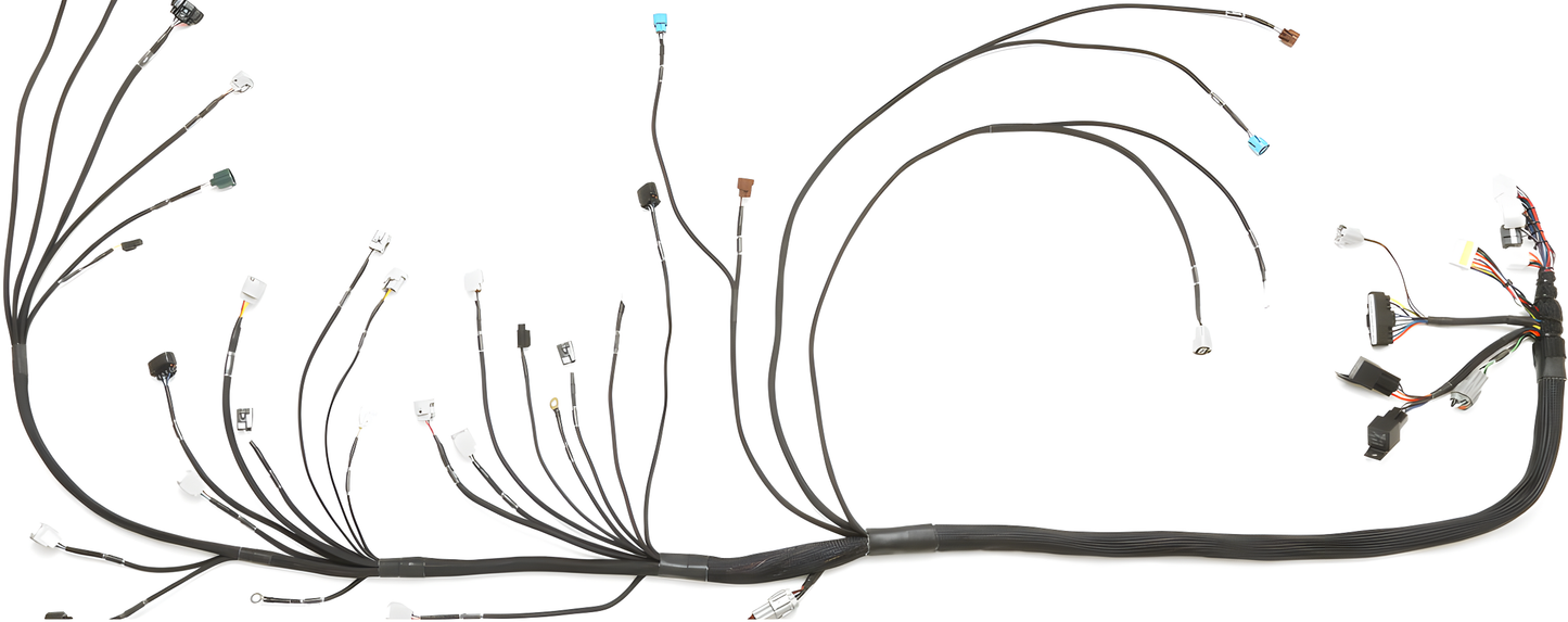 Wiring Specialties Mounting Points - 1JZGTE VVTi ETCSi PRO Series Harness for BMW E36 WRS-PRO1JZVVTI-ETCSI-E36