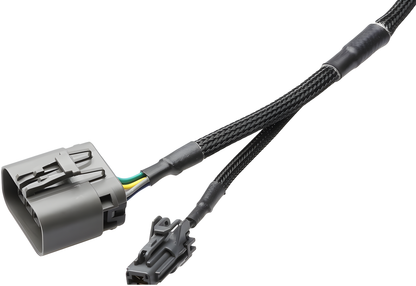 Wiring Specialties Mounting Points - Q45 VH45DE PRO Series Harness for Z32 LHD 300zx / Z32 RHD Fairlady Z – WRS-PROVH45-Z32