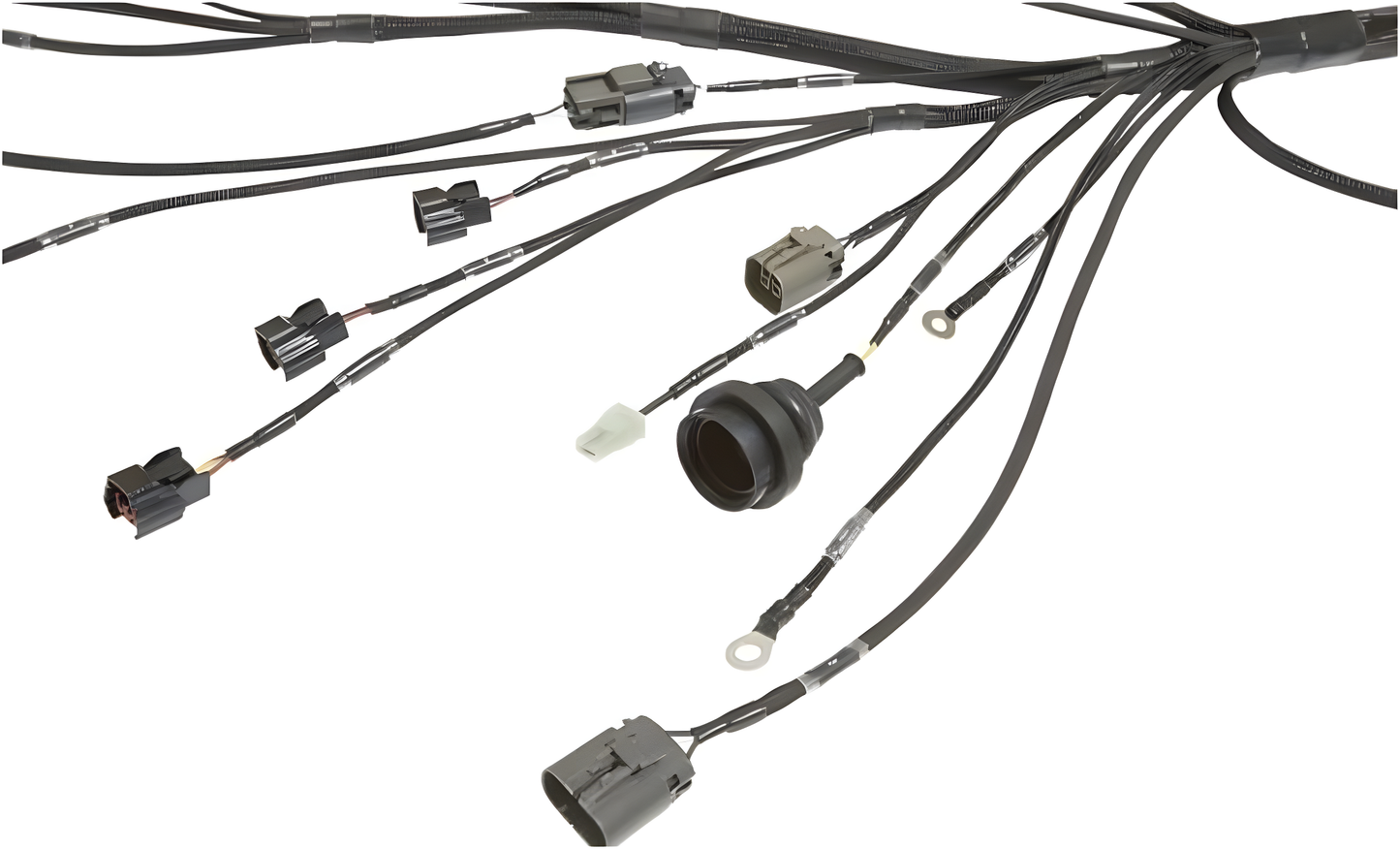 Wiring Specialties Mounting Points - Standalone S13 SR20DET PRO Series Harness WRS-PROS13SR20-UNI
