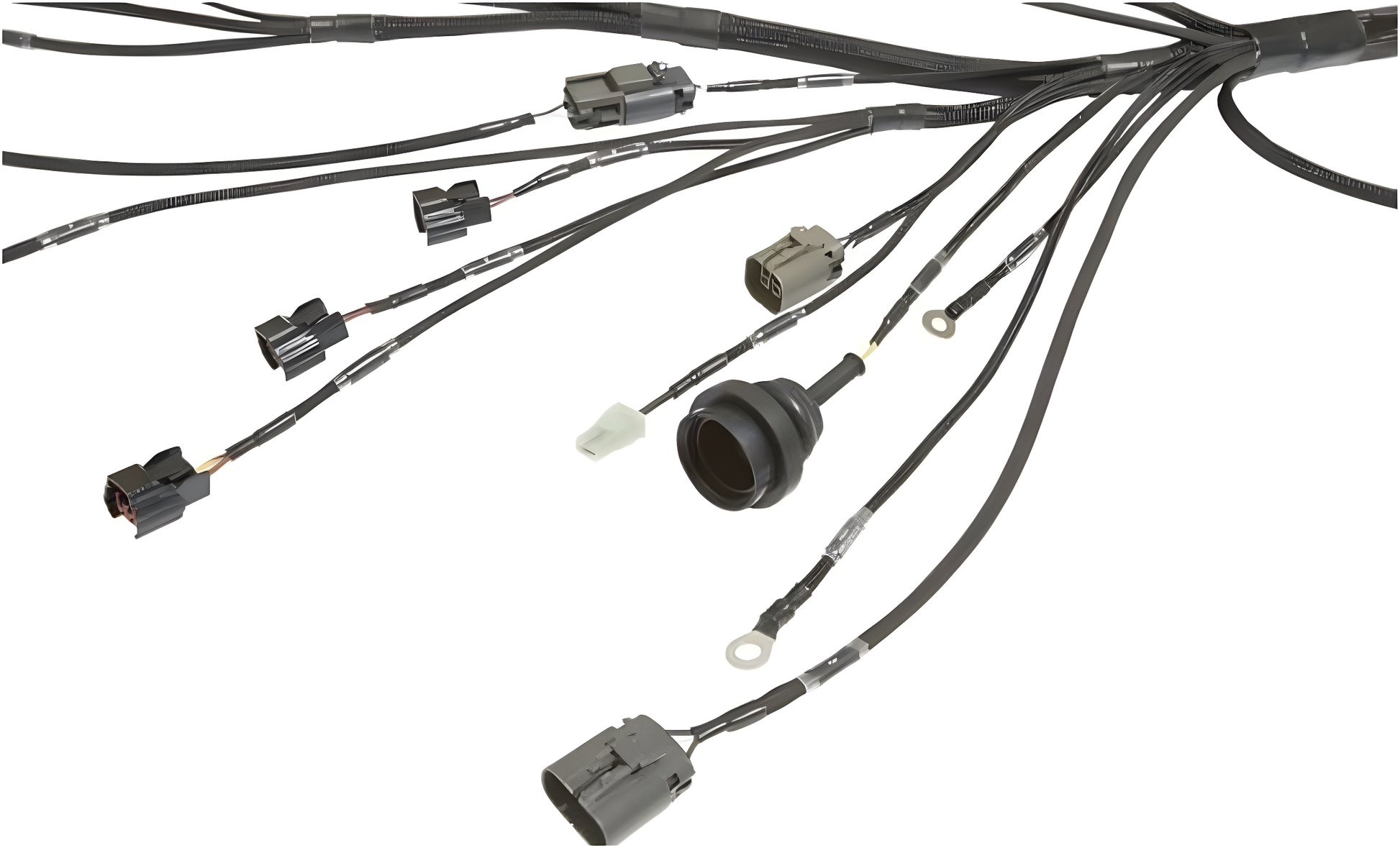 Wiring Specialties Mounting Points - Standalone S13 SR20DET PRO Series Harness WRS-PROS13SR20-UNI