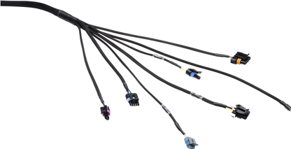 Wiring Specialties Mounting Points - LS1 / Vortec PRO Series Harness for Datsun WRS-PROLS1-DAT
