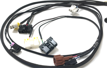 Wiring Specialties Mounting Points - 1JZGTE VVTi Harness R34 Skyline 25GT PRO Series WRS-PRO1JZVVTI-R34-25GT