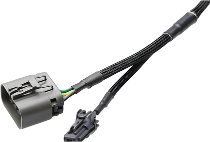 Wiring Specialties Mounting Points - 2JZGTE PRO Series Harness for Z32 300zx / Fairlady – WRS-PRO2JZ-300ZX