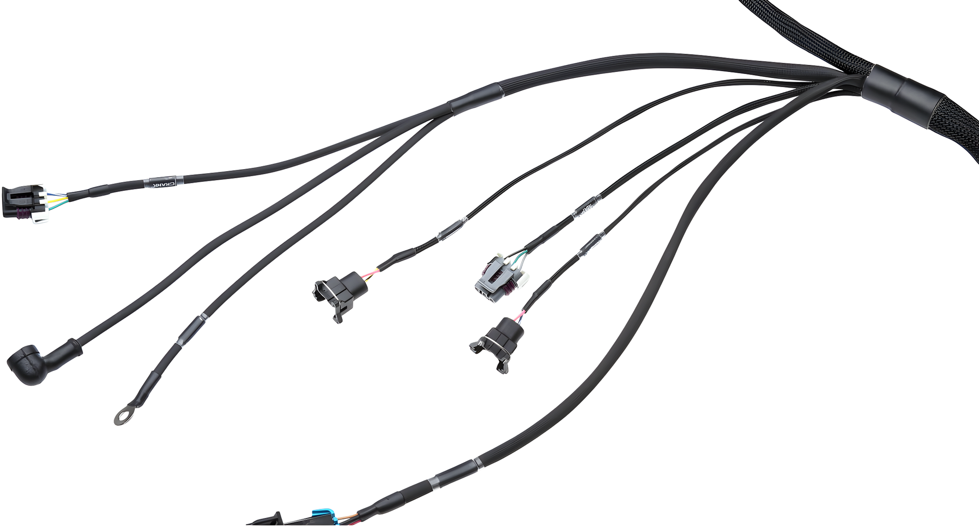 Wiring Specialties Mounting Points - LS1 / Vortec PRO Series Harness for Classic Chevrolet/GM – WRS-PROLS1-CCHEV