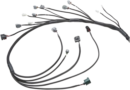 Wiring Specialties Mounting Points - 1JZGTE PRO Series Harness for Nissan S13 200sx (LHD EURO) – WRS-PRO1JZ-200SX