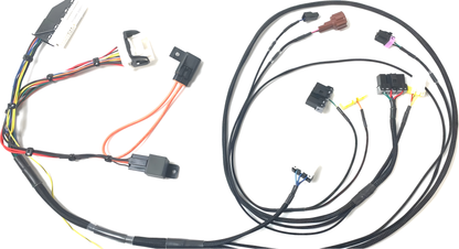 Wiring Specialties Mounting Points - 2JZGTE / 2JZGE VVTi PRO Series Harness for R34 Skyline 25GT WRS-PRO2JZVVTI-R34-25GT