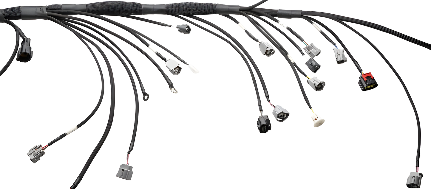 Wiring Specialties Mounting Points - 2JZGTE PRO Series Harness for USDM LHD V35 Infiniti G35 – Part WRS-PRO2JZ-G35