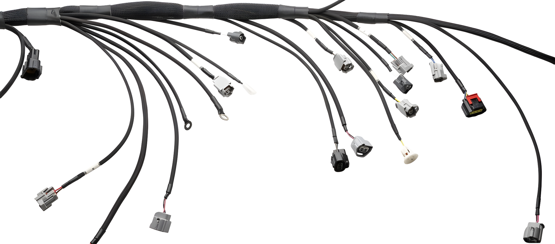 Wiring Specialties Mounting Points - 2JZGTE PRO Series Harness for USDM LHD V35 Infiniti G35 – Part WRS-PRO2JZ-G35