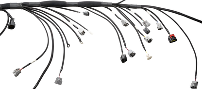 Wiring Specialties Mounting Points - 2JZGTE PRO Series Harness for USDM LHD V35 Infiniti G35 – Part WRS-PRO2JZ-G35