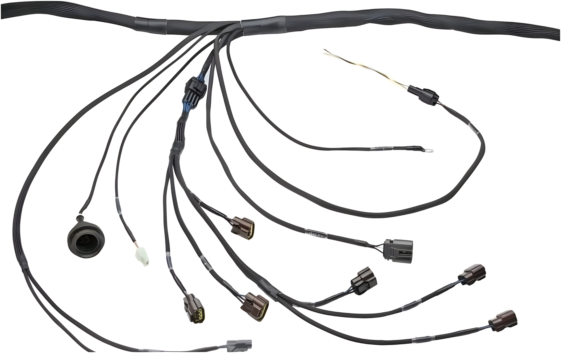 Wiring Specialties Mounting Points - RB20DET Harness for BMW E36 PRO SERIES WRS-PRORB20-E36