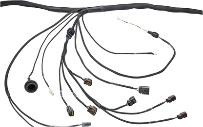 Wiring Specialties Mounting Points - RB20DET Harness for BMW E36 PRO SERIES WRS-PRORB20-E36