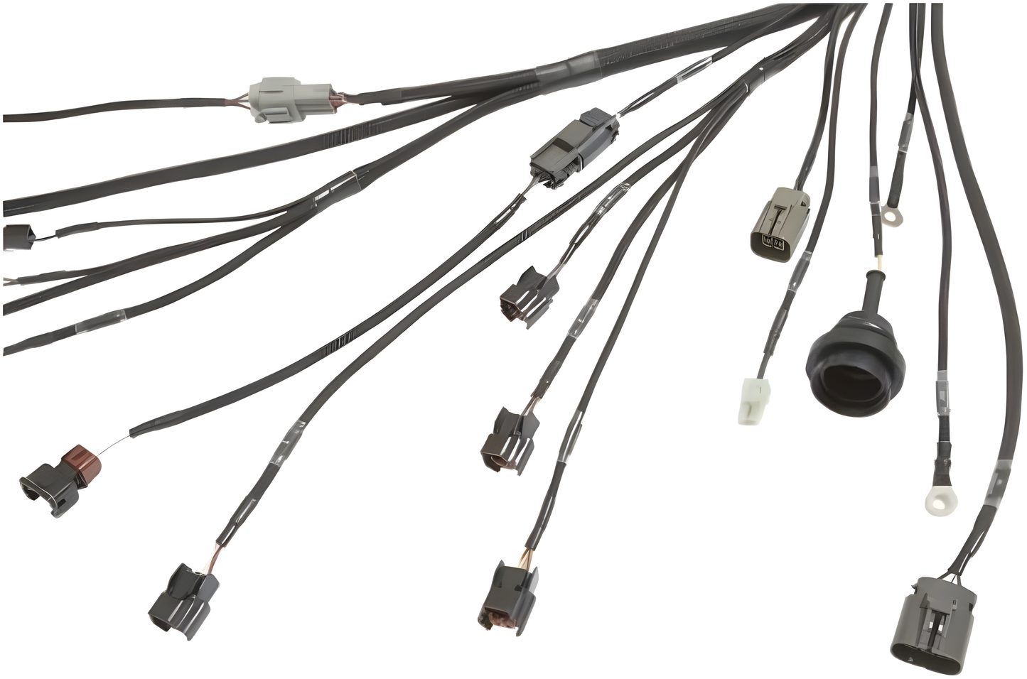 Wiring Specialties Mounting Points - SR20DET PRO Series Harness for BMW E36 – Part WRS-PROS13SR20-E36