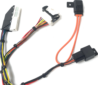 Wiring Specialties Mounting Points - RB25DET NEO PRO Series Harness for R34 Skyline 25GT – WRS-PRORB25NEO-R34-25GT