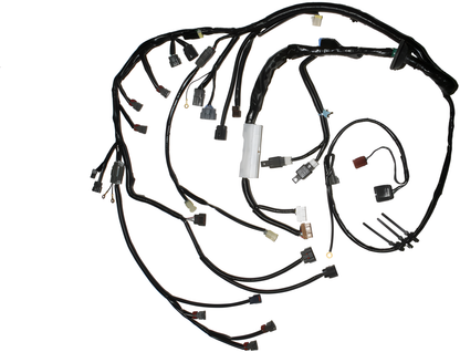 Wiring Specialties Packaging Kit - RB20DET Main Engine Harness for S13 240sx - OEM SERIES *DISCONTINUED