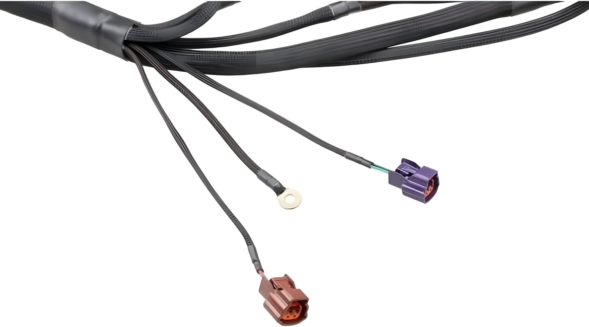 Wiring Specialties Packaging Kit - SR20DET Harness S14 PRO SERIES WRS-PROS14SR20-UNI