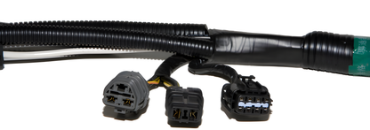 Wiring Specialties Packaging Kit - SR20DET S14 PRO Series Harness COMBO WRS-S14S14-COMBO