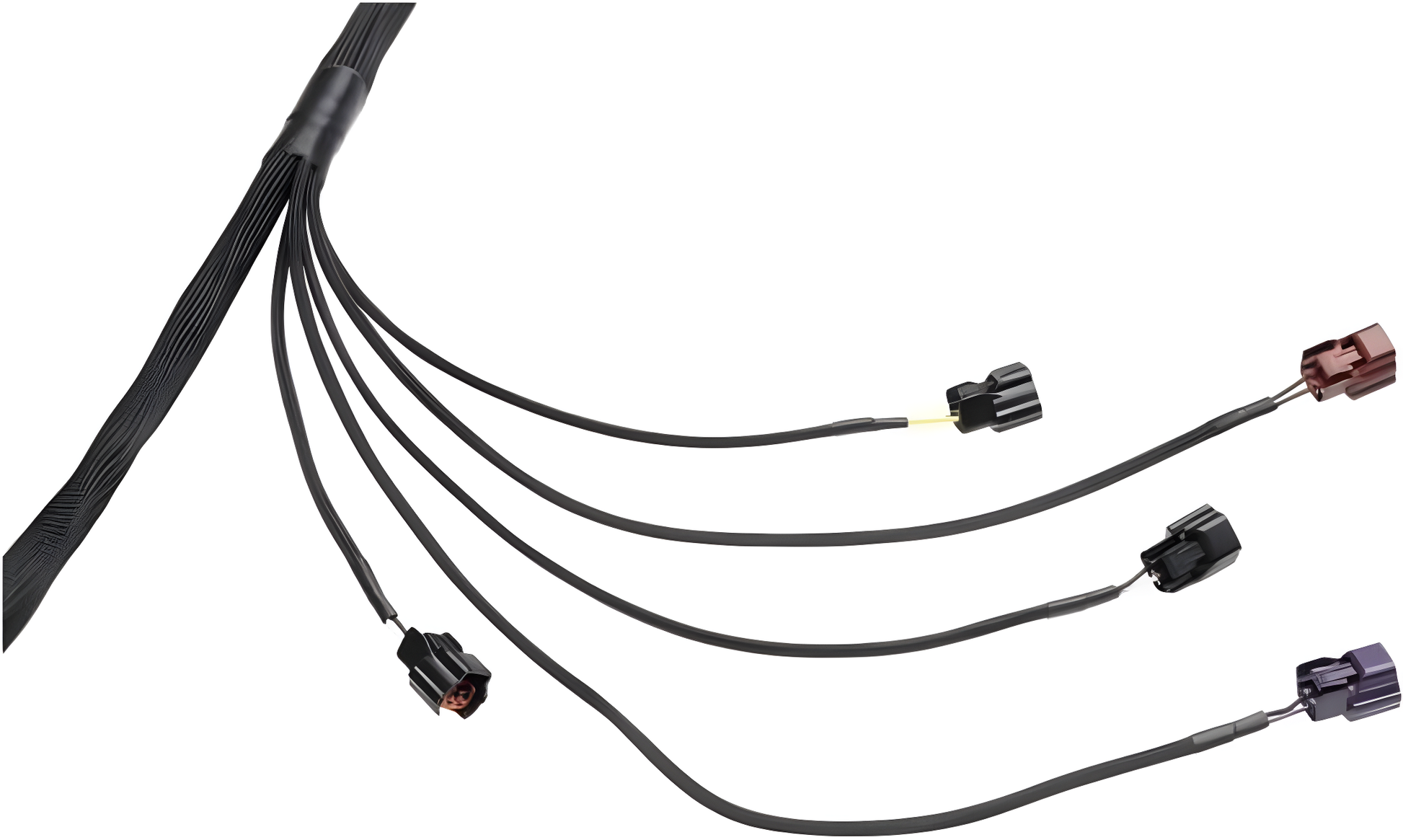 Wiring Specialties Pin Configuration - RB25DET PRO Series Harness for S13 200SX (LHD EURO) - WRS-PRORB25-200SX