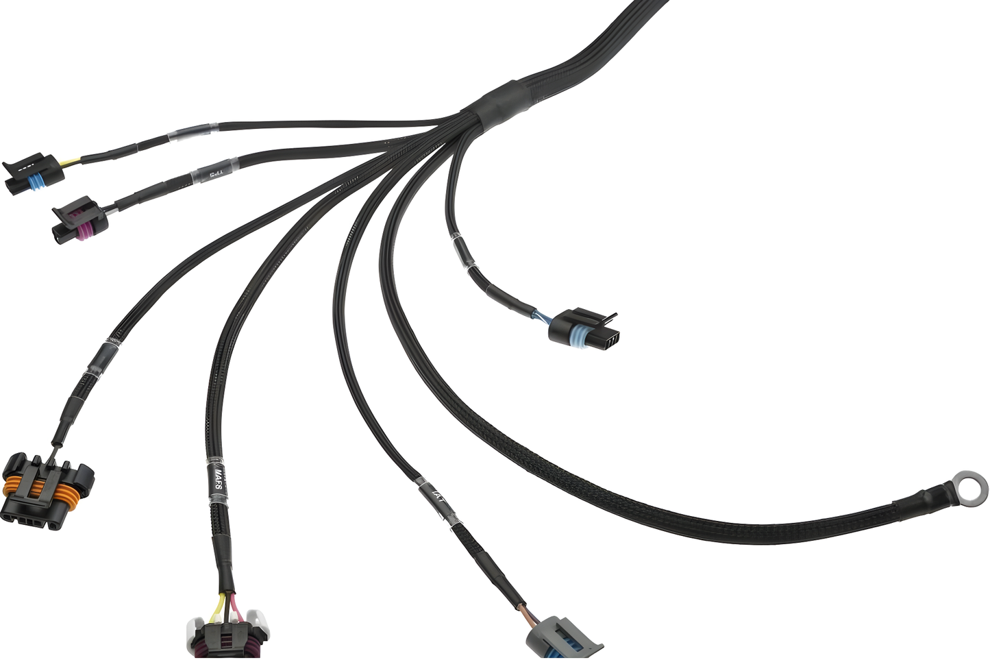 Wiring Specialties Pin Configuration - LSx Gen IV DBC Wiring Harness for Classic Chevrolet / GM - PRO Series Harnesses WRS-PROLSXG4-CHEV