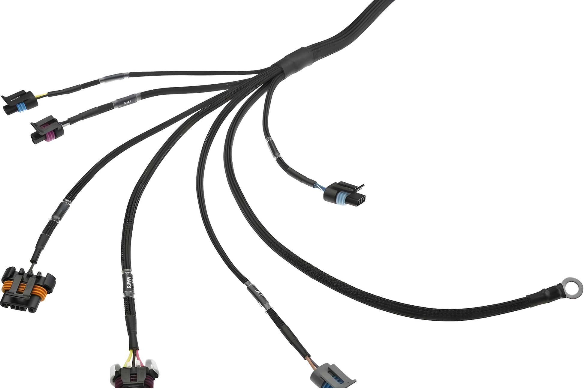 Wiring Specialties Pin Configuration - LSx Gen IV DBC Wiring Harness for Classic Chevrolet / GM - PRO Series Harnesses WRS-PROLSXG4-CHEV