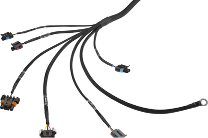 Wiring Specialties Pin Configuration - LSx Gen IV DBC Wiring Harness for Classic Chevrolet / GM - PRO Series Harnesses WRS-PROLSXG4-CHEV