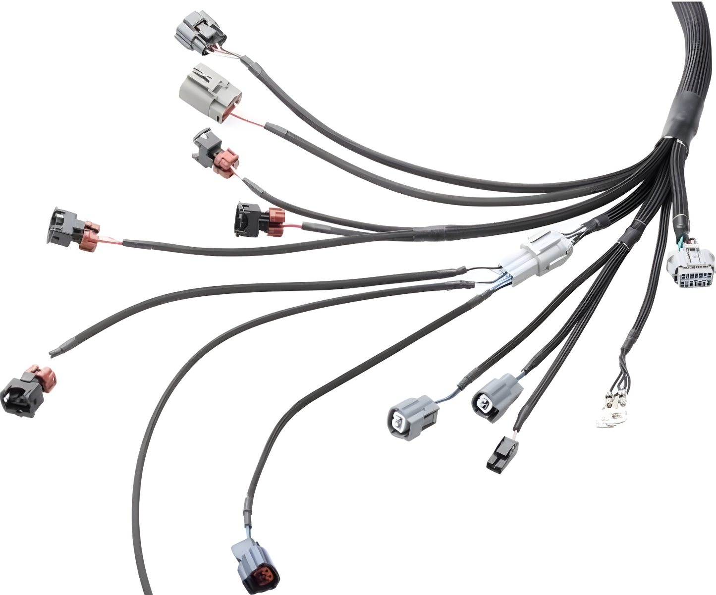 Wiring Specialties Pin Configuration - RB26DETT PRO Series Harness Universal WRS-PRORB26-UNI