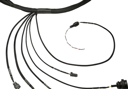Wiring Specialties Pin Configuration - KA24DE Harness S14 240SX PRO Series WRS-PROS14KA24-S14