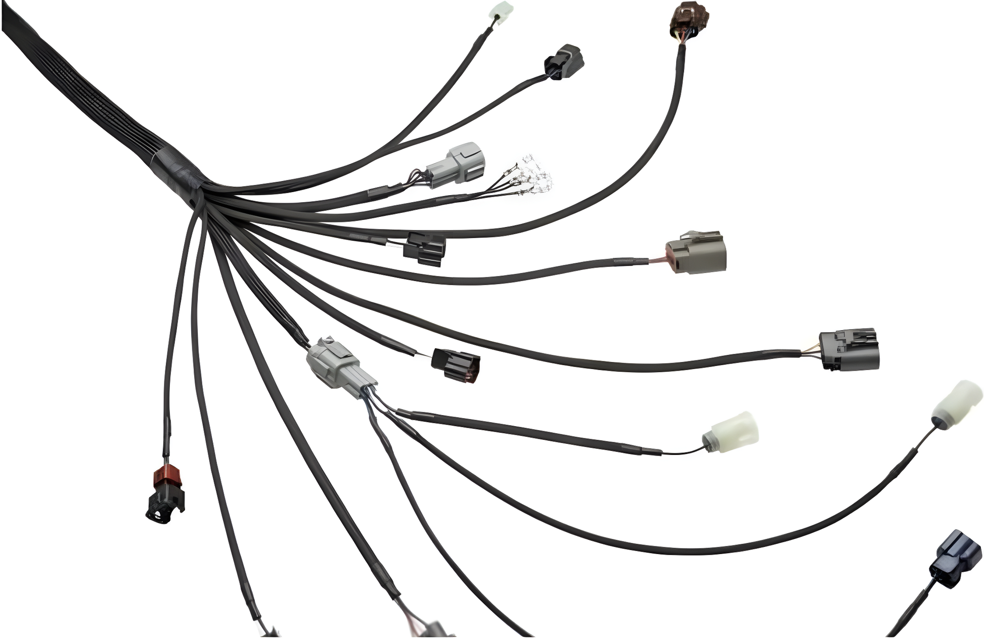 Wiring Specialties Pin Configuration - RB25DET PRO Series Harness for Classic Datsun WRS-PRORB25-DAT