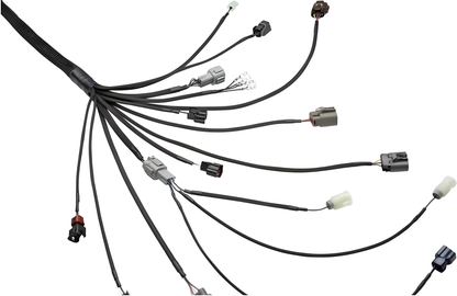 Wiring Specialties Pin Configuration - RB25DET PRO Series Harness for Classic Datsun WRS-PRORB25-DAT