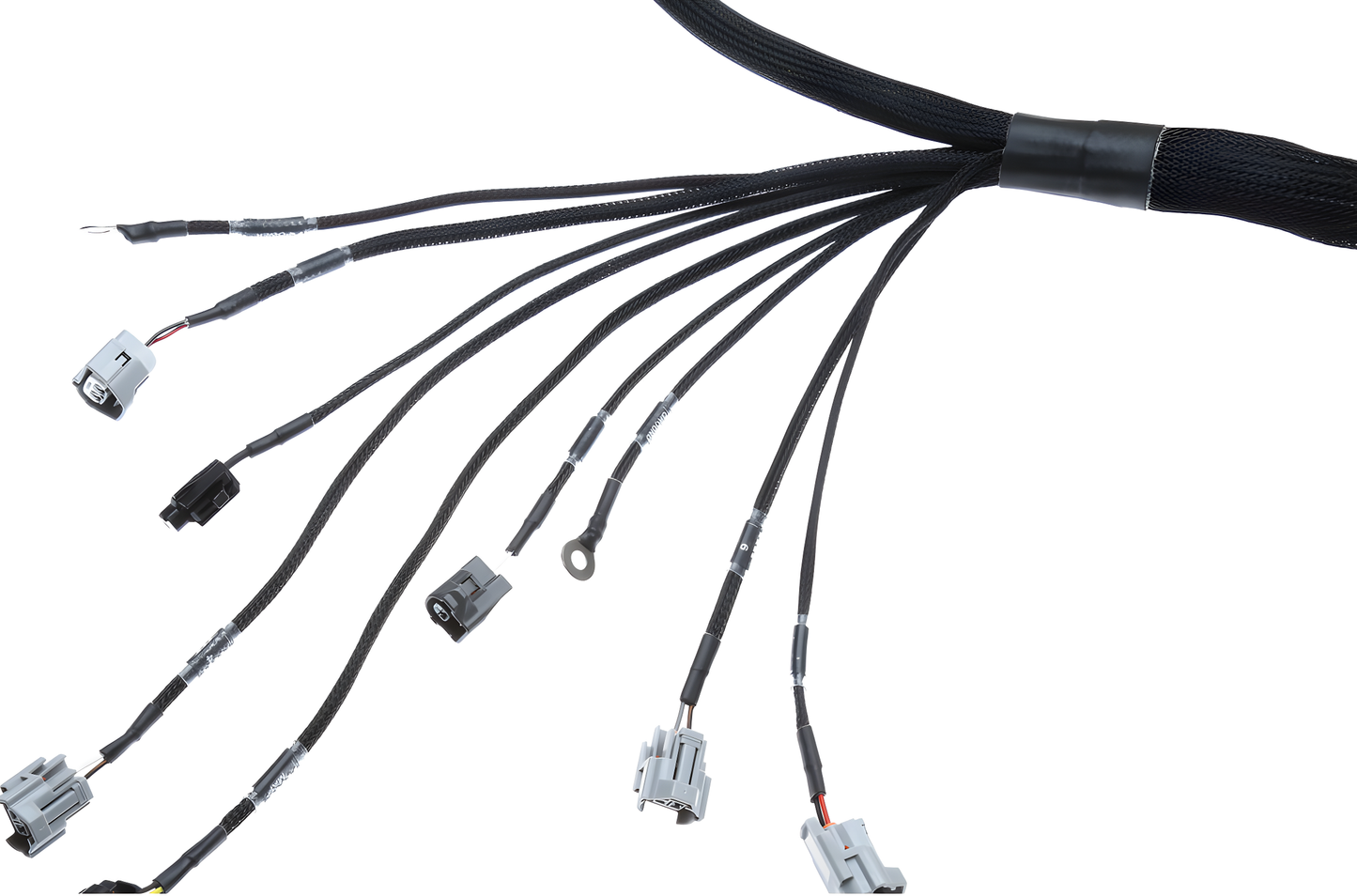 Wiring Specialties Pin Configuration - 2JZGTE / 2JZGE VVTi PRO Series Harness BMW E39 WRS-PRO2JZVVTI-E39